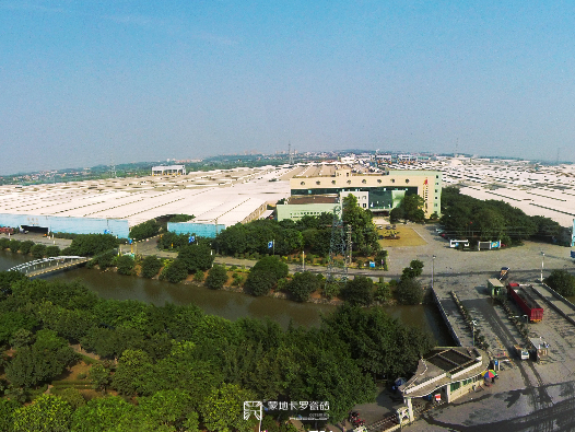  廣東佛山三水